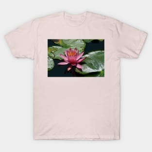 Pink Water Lily T-Shirt